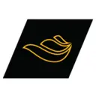 ansys_fluent